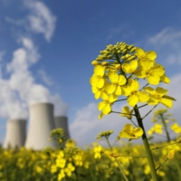 A mustard field grows in front of the cooling towers of the Temelin nuclear power plant near the city of Tyn nad Vltavou in the Czech Republic in 2014.  | REUTERS