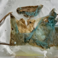 A photo taken on Aug. 10 shows a nonwoven polypropylene mask found in the feces of a juvenile green sea turtle caught off Japan\'s coast.  | COURTESY OF THE TOKYO UNIVERSITY OF AGRICULTURE AND TECHNOLOGY AND THE UNIVERSITY OF TOKYO / VIA KYODO