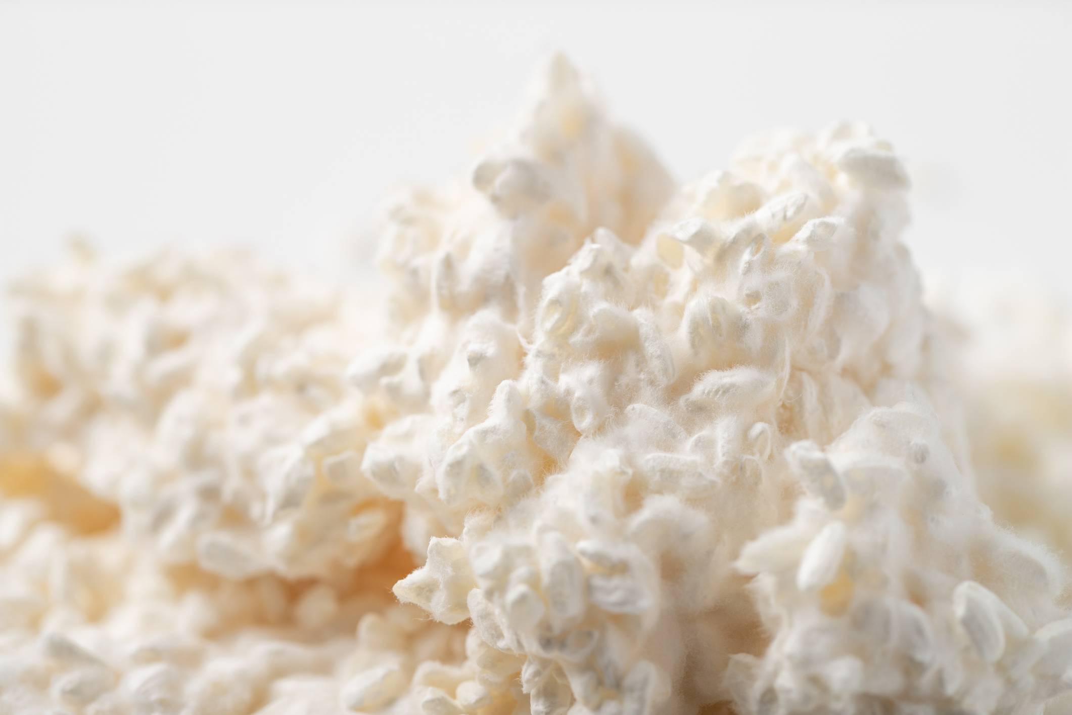 'Kōji' is a mold and is the fundamental ingredient of such staples as sake, soy sauce and miso. | GETTY IMAGES