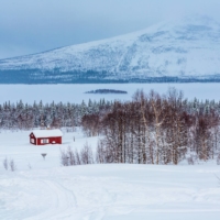 Yoko Tawada\'s \"Scattered All Over the Earth\" follows a climate refugee who is cast adrift in northern Europe after Japan has succumbed to an unspecified environmental disaster. | GETTY IMAGES