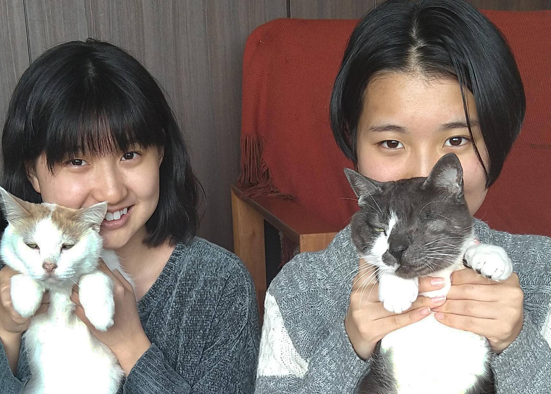 The Sato girls pose with their family's pet felines. Sayuri (left) holds Tama, while Akari holds the cat formerly known as Botamochi and now known as Popo. | SHINTARO SATO