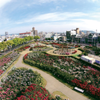<i>Bara Koen</i> (Rose Park) received the Award of Garden Excellence from the World Federation of Rose Societies in May 2006. | FUKUYAMA CITY