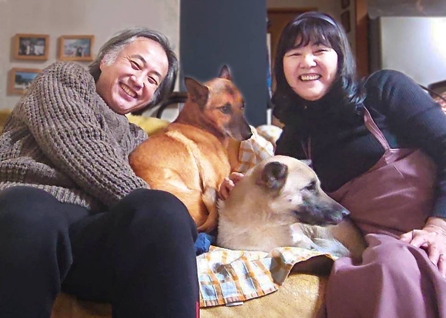 Kazuhiro and Yoshimi Okamoto welcomed two dogs, Eringi (left) and Bernard, into their home and both pets have been thriving. | COURTESY OF THE OKAMOTOS