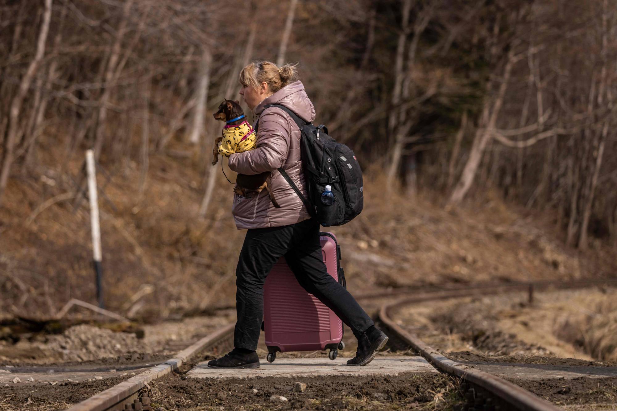 A refugee woman and dog from Ukraine cross the Polish-Slovakian border at Kroscienko, Poland, on Thursday. | AFP-JIJI