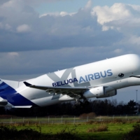 A Beluga transport plane belonging to Airbus takes off in Montoir-de-Bretagne, near Saint-Nazaire, France, on Friday. | REUTERS