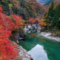 In his two books, “Isabella Bird and Japan: A Reassessment” and “Unbeaten Tracks in Japan: Revisiting Isabella Bird,” Kiyonori Kanasaka provides invaluable commentary on the works of travel writer Isabella Bird. | GETTY IMAGES
