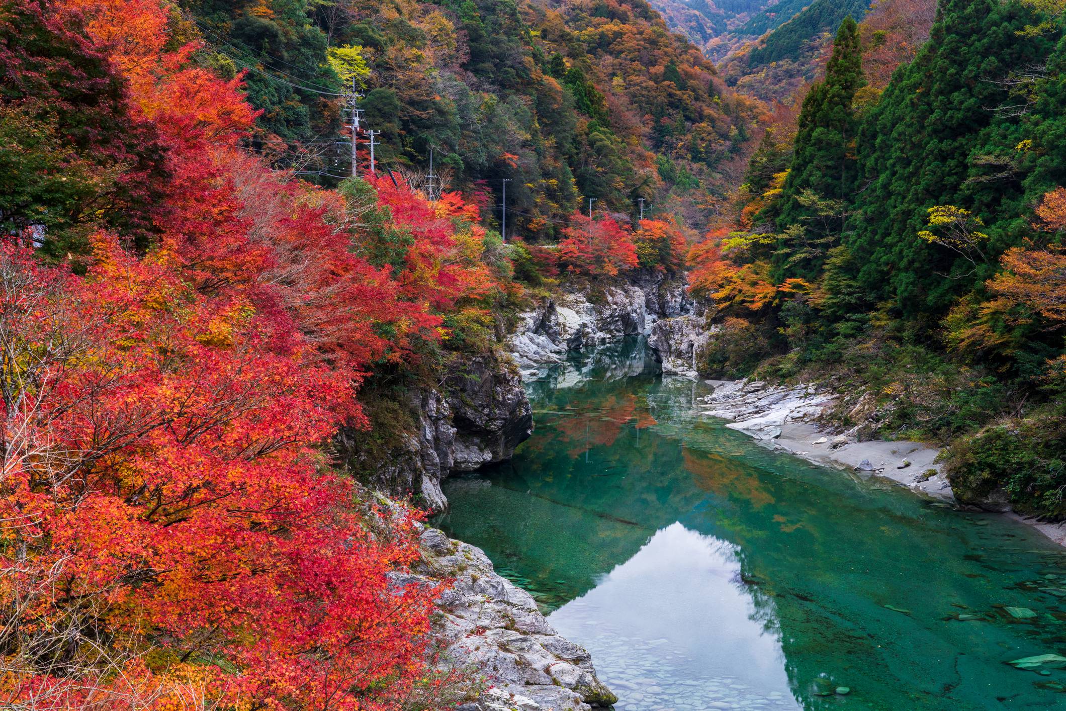 Japan Times