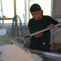 Masaru Takaesu rakes and sifts through the salt produced at his Takaesu Seienjo factory on 
Okinawa’s Hamahiga Island. | STEPHEN MANSFIELD
