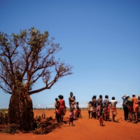 Local residents stand next to a tree in a field covered with red sand in Anjeky Beanatara in Madagascar\'s Androy region. | REUTERS