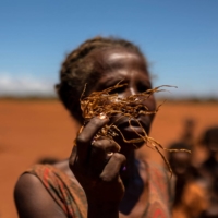 A Madagascar woman holds part of a dead corn plant in a field covered with red sand. | REUTERS