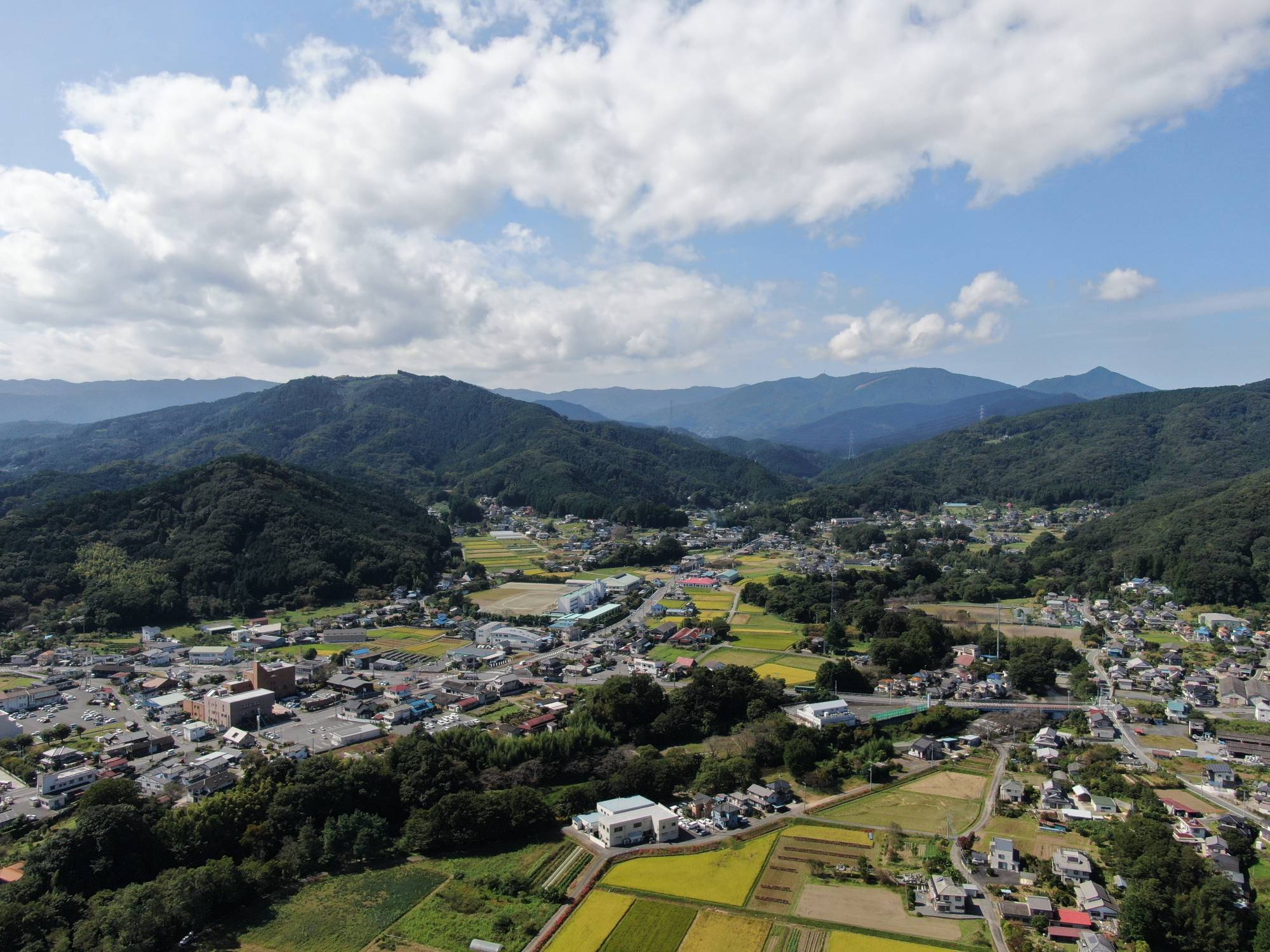 Nestled along its namesake river and set against lush forests and mountains, the town of Tokigawa, located around an hour and a half from Tokyo, is known for its long history of woodwork and abundant agricultural produce.  | COURTESY OF TOKIGAWA TOWN