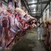 A worker inspects cattle carcasses at the municipal slaughterhouse in Sao Felix do Xingu, Para state, Brazil. | BLOOMBERG