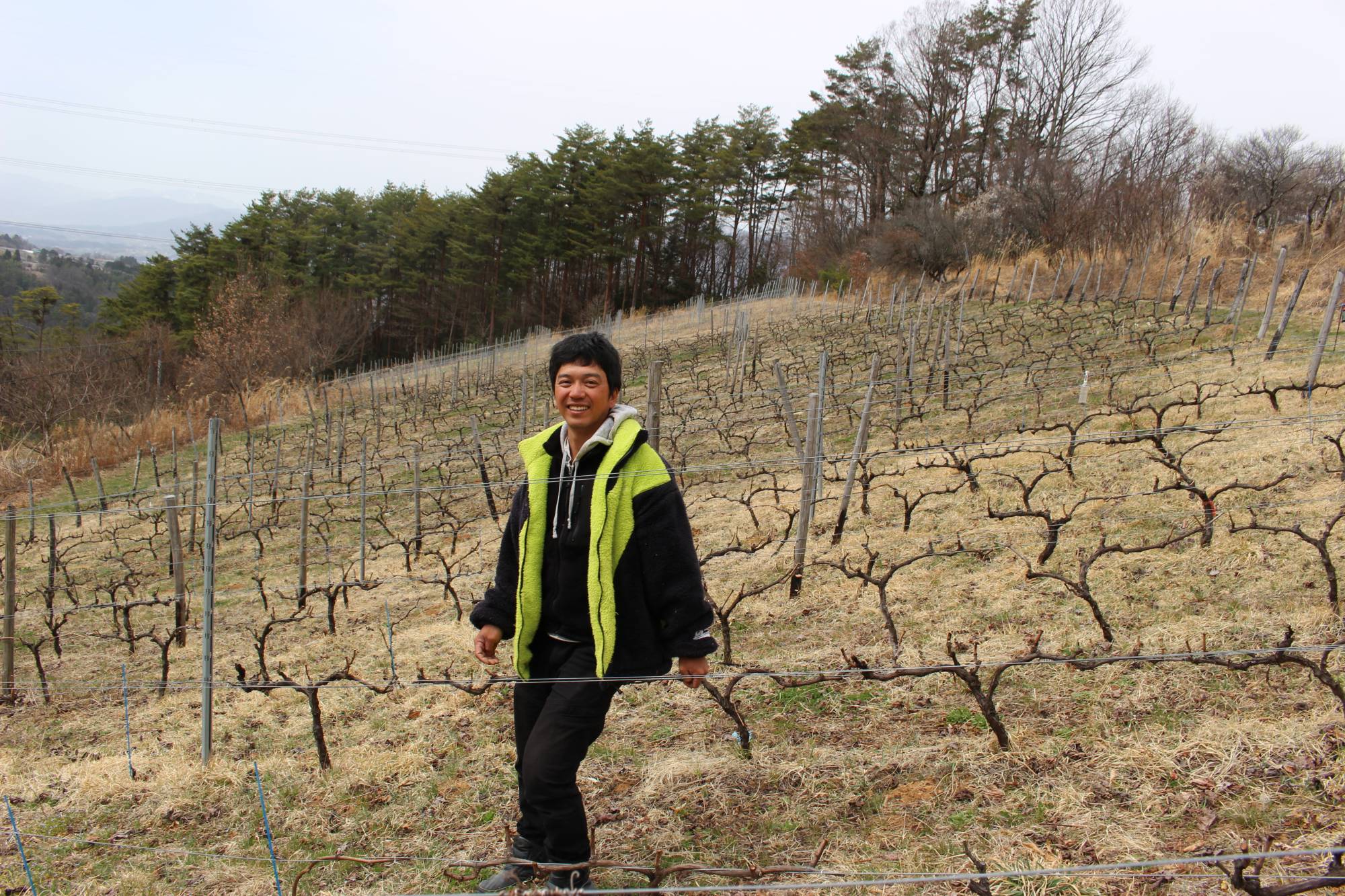 Nobuari Soga gives a tour of his vineyard at the Minakata Jozo winery. | JOJI SAKURAI