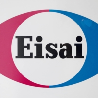 Eisai\'s lecanemab is a monoclonal antibody designed to remove beta-amyloid, a type of protein fragment that accumulates in the brains of Alzheimer\'s patients.  | REUTERS