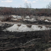 Trenches dug by the Russian military are seen in an area with high levels of radiation called the Red Forest, near the Chernobyl Nuclear Power Plant.  | REUTERS
