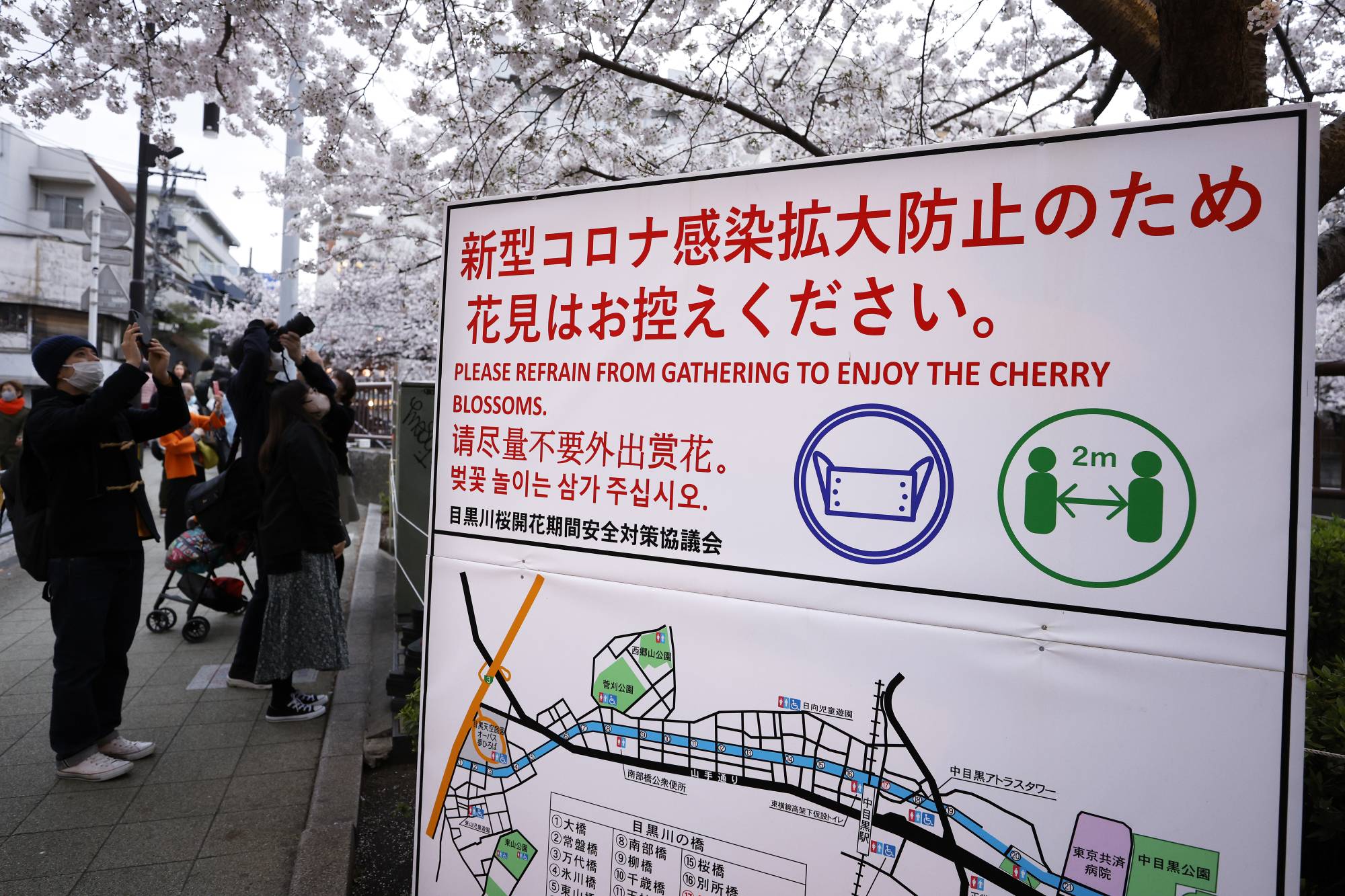 A COVID-19 awareness sign near cherry trees in full bloom along the Meguro River in Tokyo in March | Bloomberg