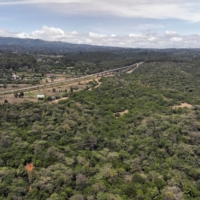 Oloolua Forest near Nairobi, Kenya. While other countries fight to keep farmers out of their forests, Kenya sees small-scale farming on forest land as an essential pillar of its commitment to have 10% of the country covered with trees by the end of this year. | REUTERS