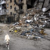 A dog wanders past the wreckage of an apartment building in Horenka, a suburb of Kyiv, on Wednesday. | DAVID GUTTENFELDER / THE NEW YORK TIMES