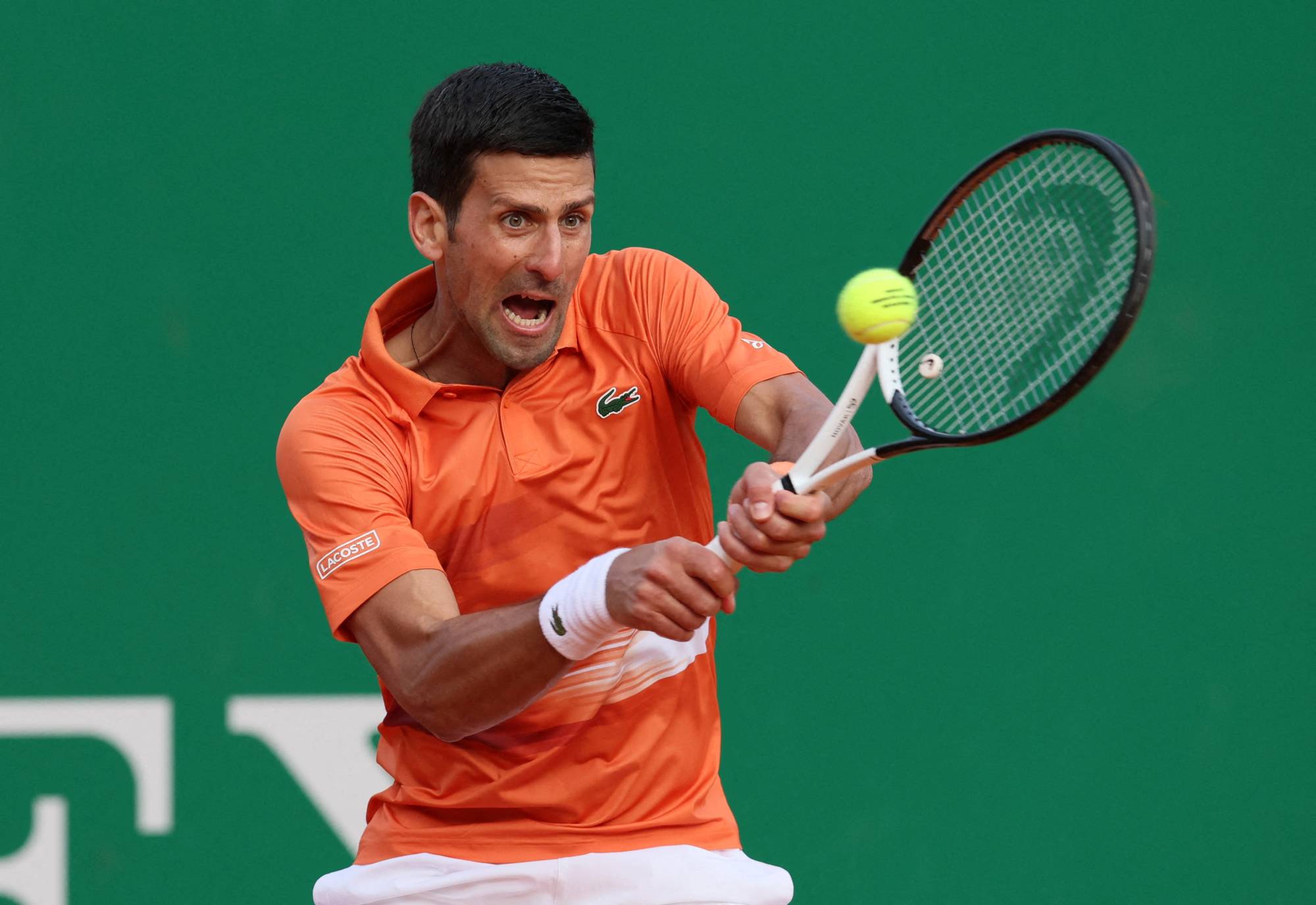 Djokovic lacoste sale 2019
