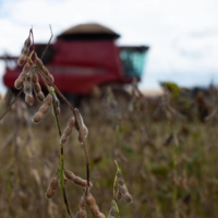 Soybeans during a harvest near Brasilia, Brazil | BLOOMBERG 