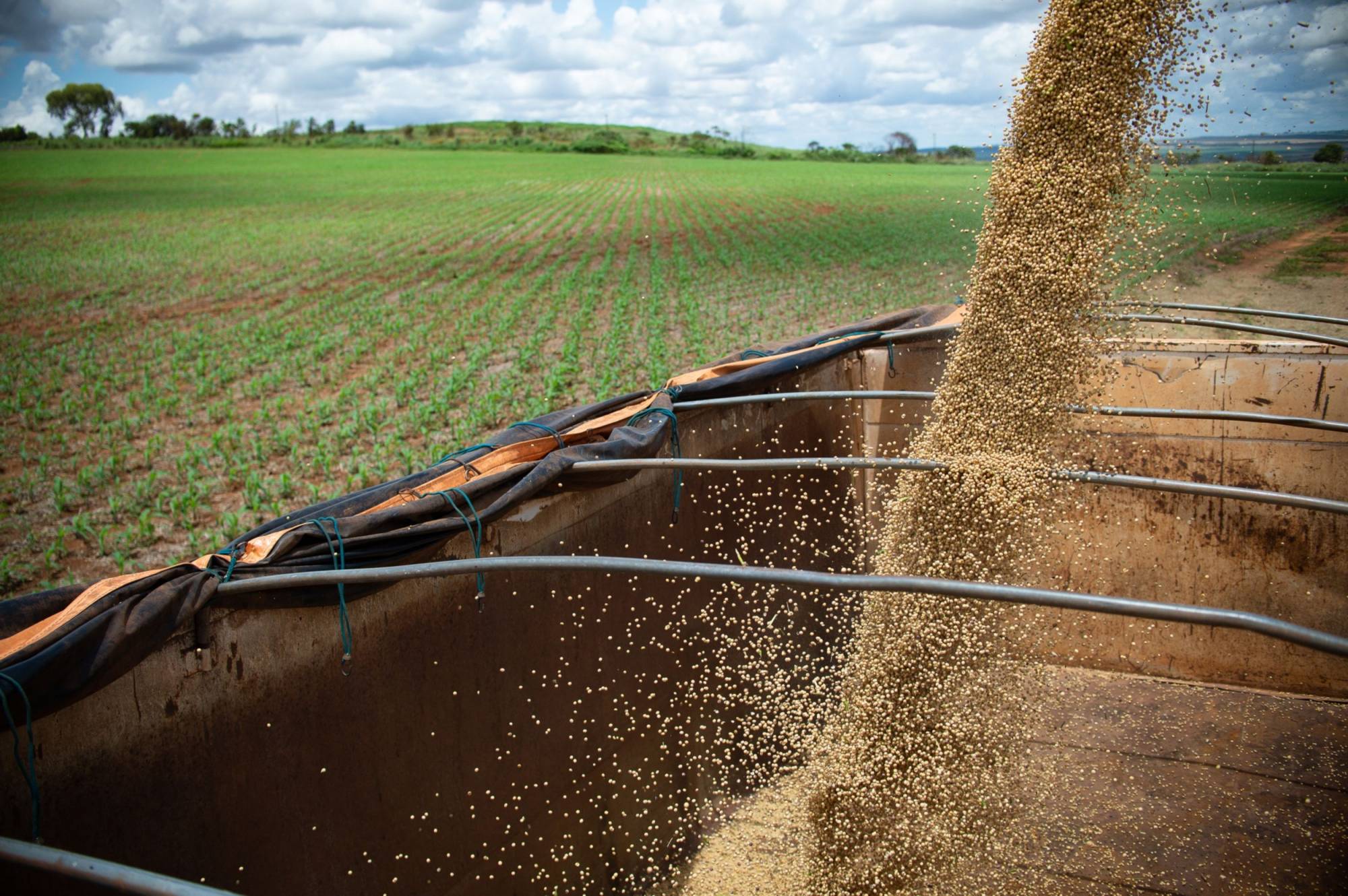 Soybeans are harvested on a farm near Brasilia. | Bloomberg 