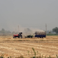 A wheat farm in the Ludhiana district of Punjab, India, on May 1. A blistering heat wave has scorched wheat fields in India, reducing yields in the second-biggest grower and damping expectations for exports that the world is relying on to alleviate a global shortage. | BLOOMBERG