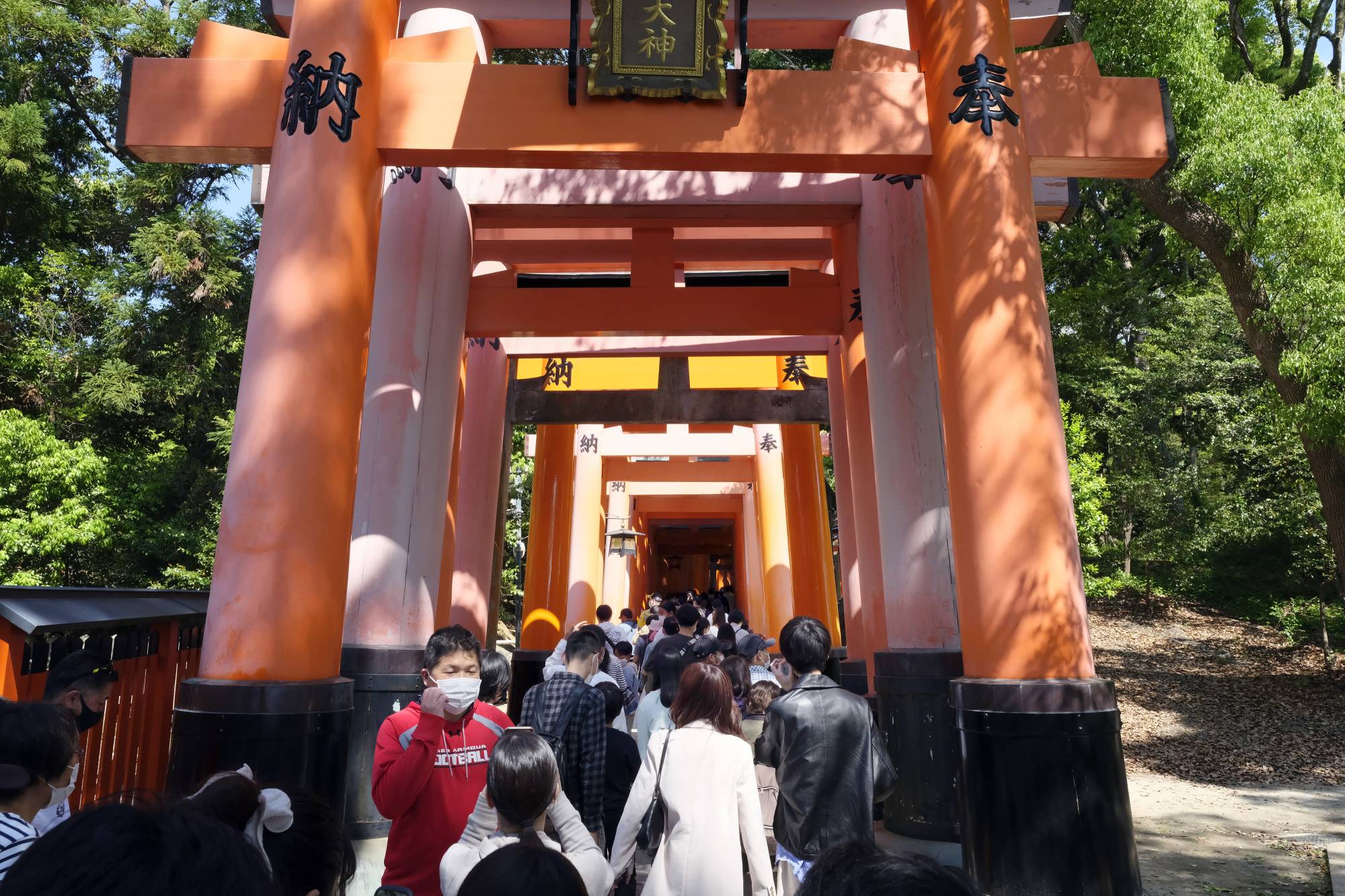 Domestic tourists walk under the torii gates in Kyoto during the Golden Week holidays on May, 3. | BLOOMBERG