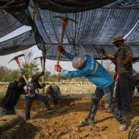 Locals work at an excavation site as they search for evidence of an American World War II pilot who crashed near the village of Baan Mae Kua, Thailand, in 1944. | LAUREN DECICCA / THE NEW YORK TIMES