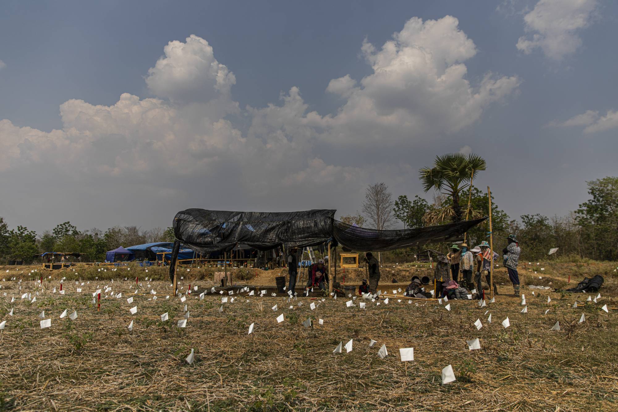The site of a search for evidence of an American pilot believed to have crashed in 1944 | Lauren DeCicca / The New York Times