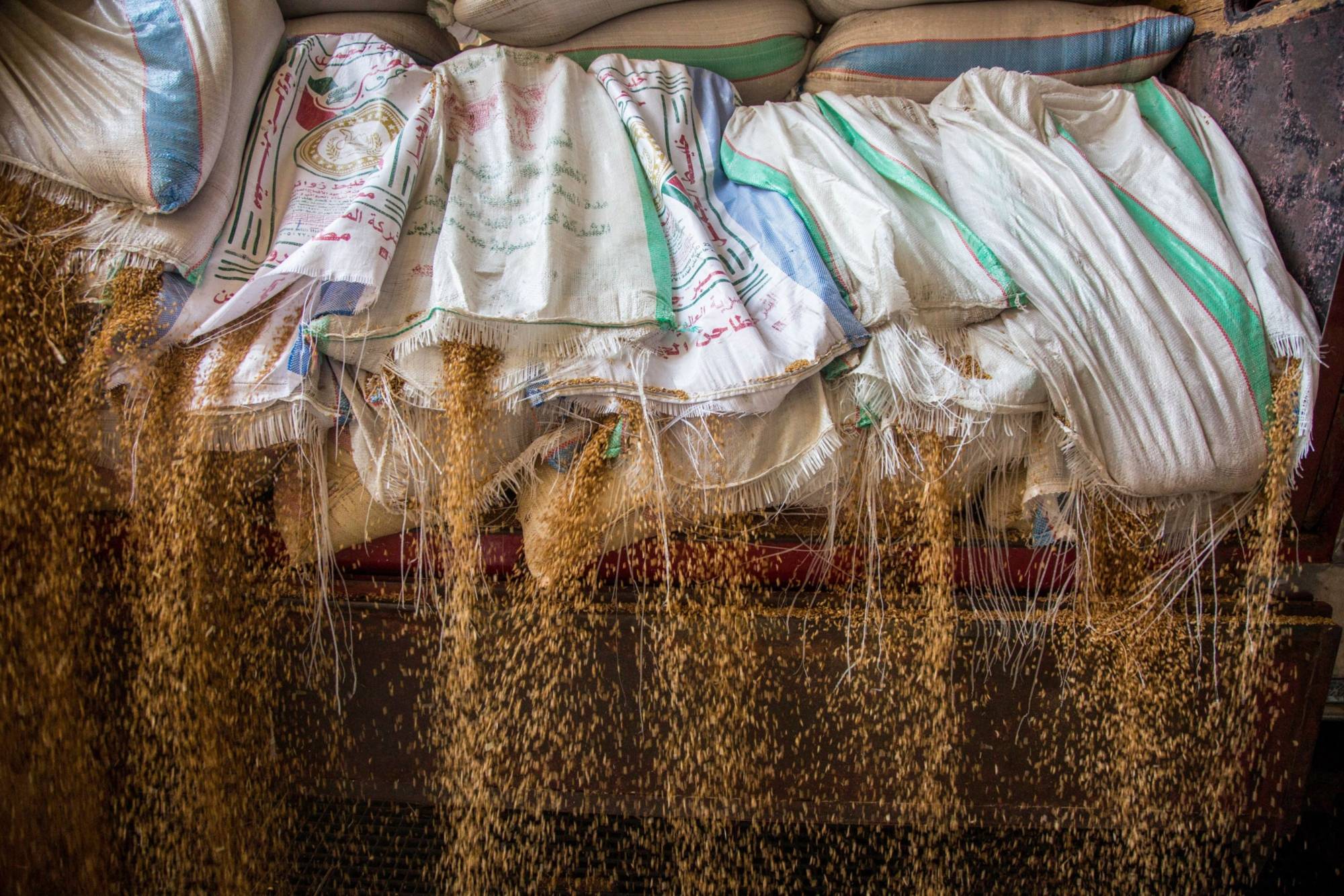 Wheat grain cascades from cut sacks on a delivery truck at a government-operated mill in central Fayoum, Egypt, on May 19. One of the world's biggest wheat importers, Egypt is wrestling with the impact of Russia’s invasion on Ukraine on supplies. | BLOOMBERG
