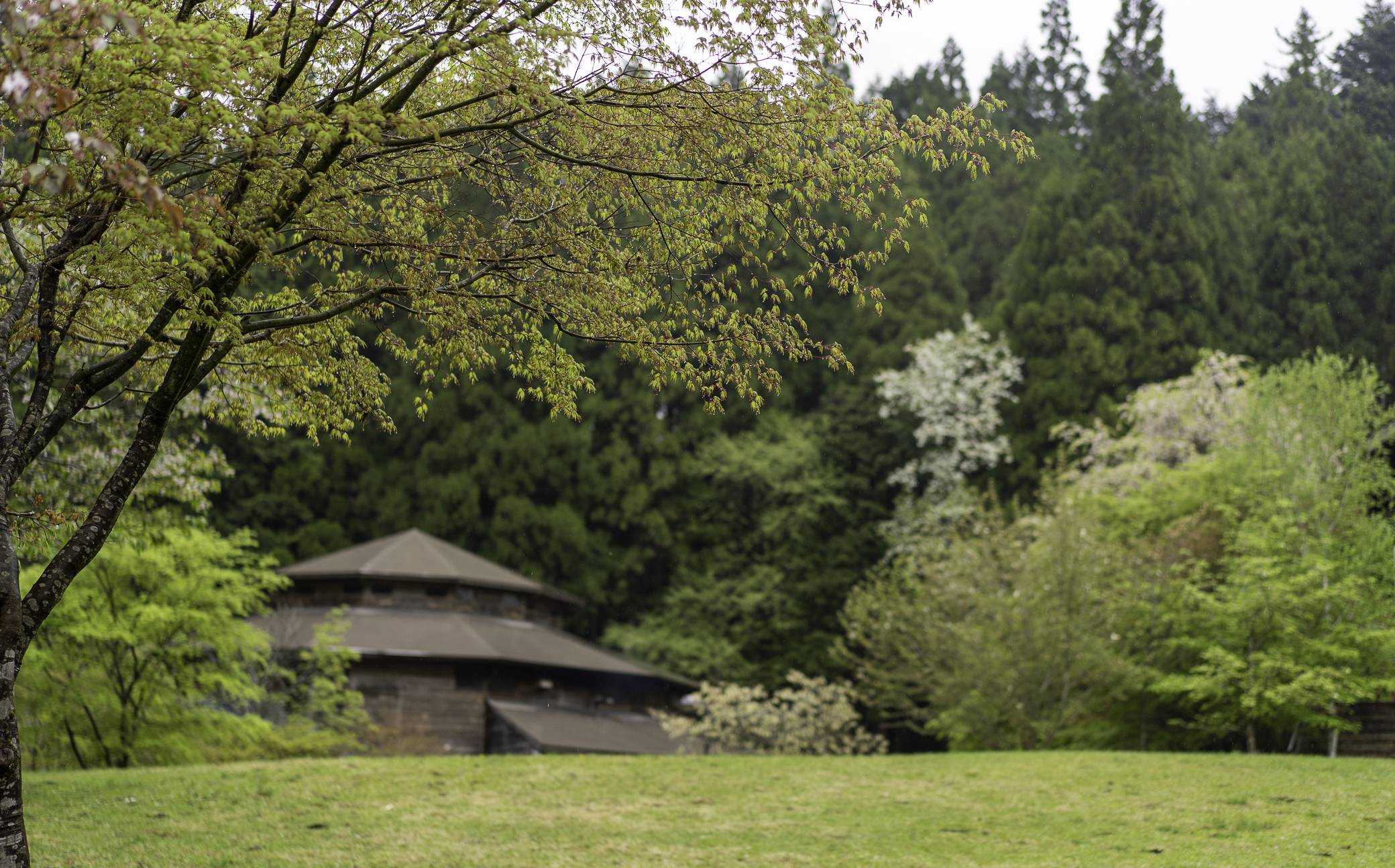 While most minka are located in Japan's rural regions, urban machiya also qualify as examples of this traditional architecture.  | MITSUE NAGASE