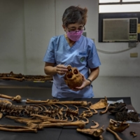 Raquel Fortun, a forensic pathologist, inspects the skeletal remains of a drug war victim at a classroom in Manila on May 17. Fortun, one of only two forensic pathologists in the Philippines, is using her skills to show how other doctors falsely claimed some victims of the country’s drug war had died natural deaths.  | EZRA ACAYAN / THE NEW YORK TIMES