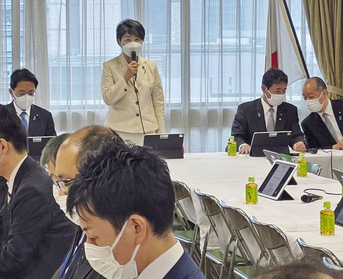 Victims speak up as Japan moves to protect young people lured into porn picture