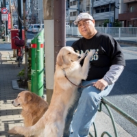 Konishiki poses with his golden retrievers in the Ryogoku district of Tokyo on Jan. 29, 2015. | JOHN GUNNING
