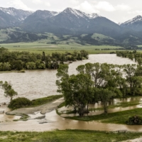 The Yellowstone River floods Mallard\'s Rest campground, near Yellowstone National Park, in Paradise Valley, Montana, on Tuesday. Yellowstone Park, punished over four days by record rains and melting snow that caused floods and mudslides and drove more than 10,000 visitors to safety, will remain closed for about a week. | LOUISE JOHNS / THE NEW YORK TIMES