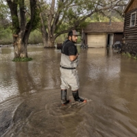 Patrick Grey wades through floodwater outside his home near Yellowstone National Park on Tuesday.  | LOUISE JOHNS / THE NEW YORK TIMES