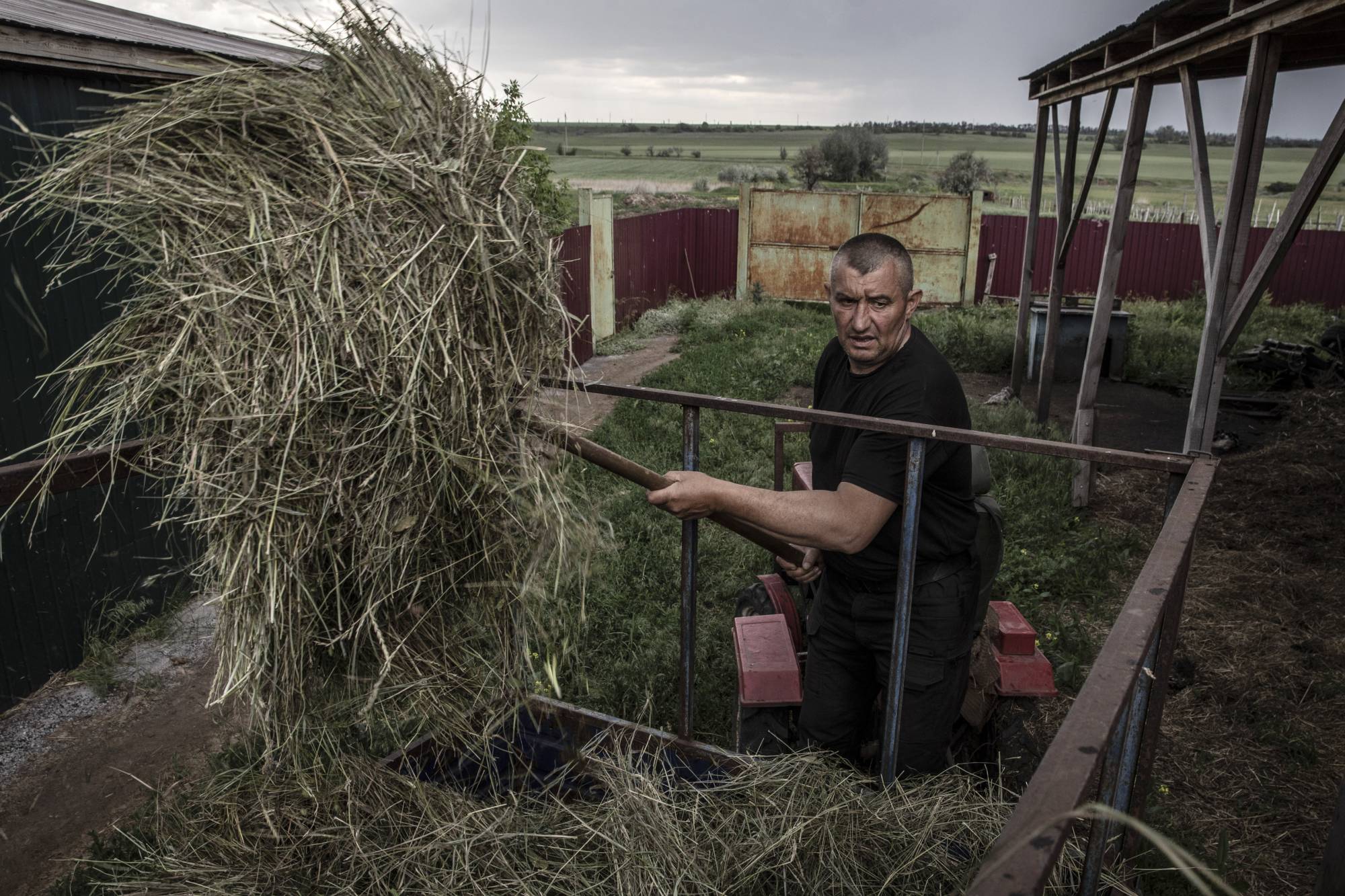 A farmer bails feed for cattle at his farm near Sievierodonetsk, Ukraine, on June 3. The farmer says he can't let his cows loose to eat grass because munitions from cluster bombs litter his fields. | FINBARR O'REILLY / THE NEW YORK TIMES