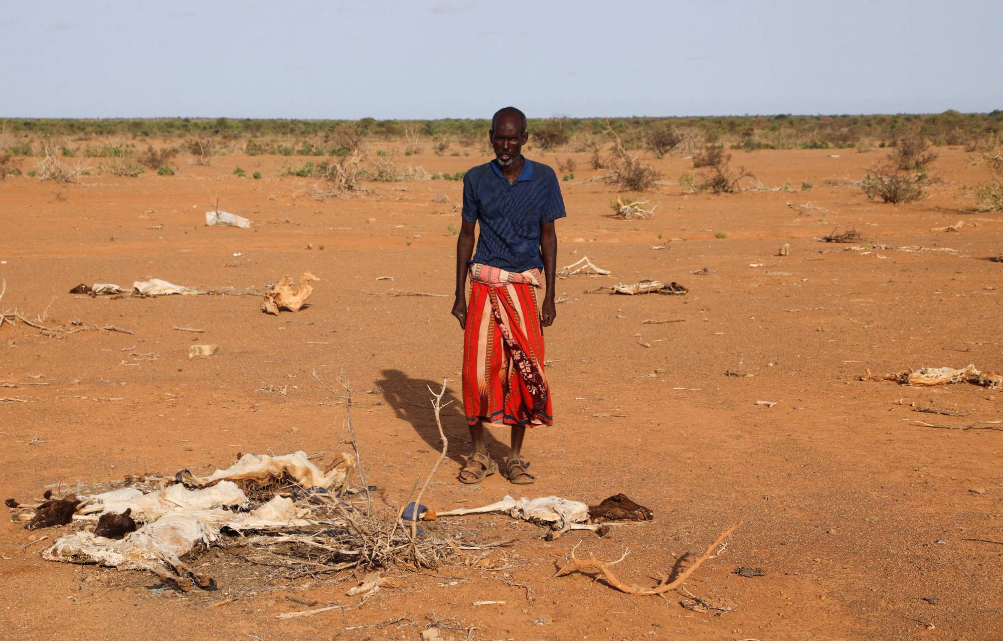 An internally displaced Somali man stands near the carcasses of his dead livestock near Dollow, Somalia, on May 26 following severe droughts. | REUTERS