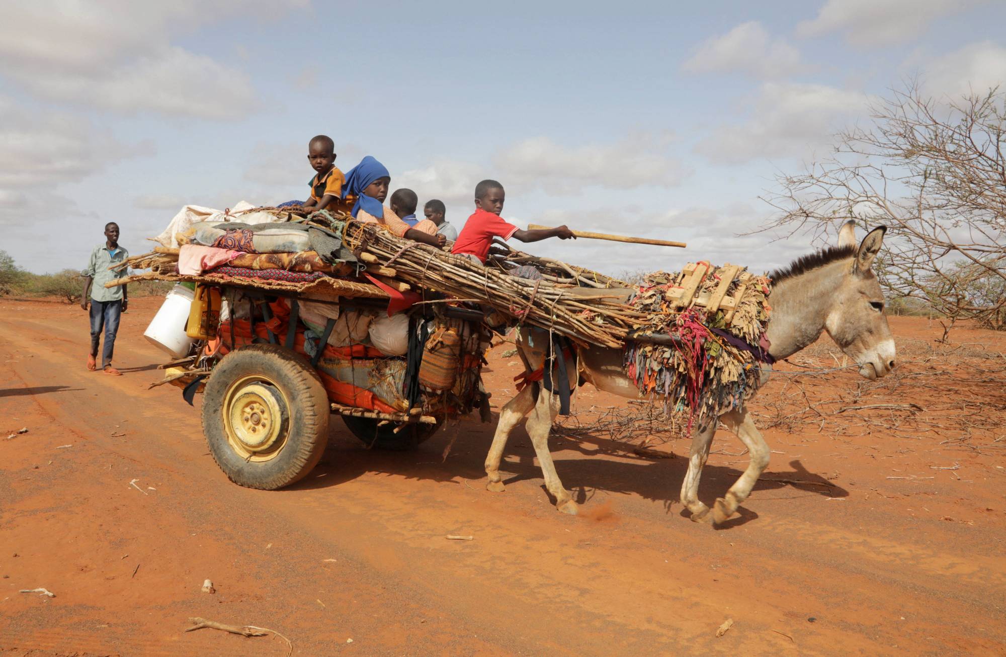 Internally displaced Somali children ride on a donkey cart as they flee from severe droughts, near Dollow, Somalia, on May 26 | REUTERS