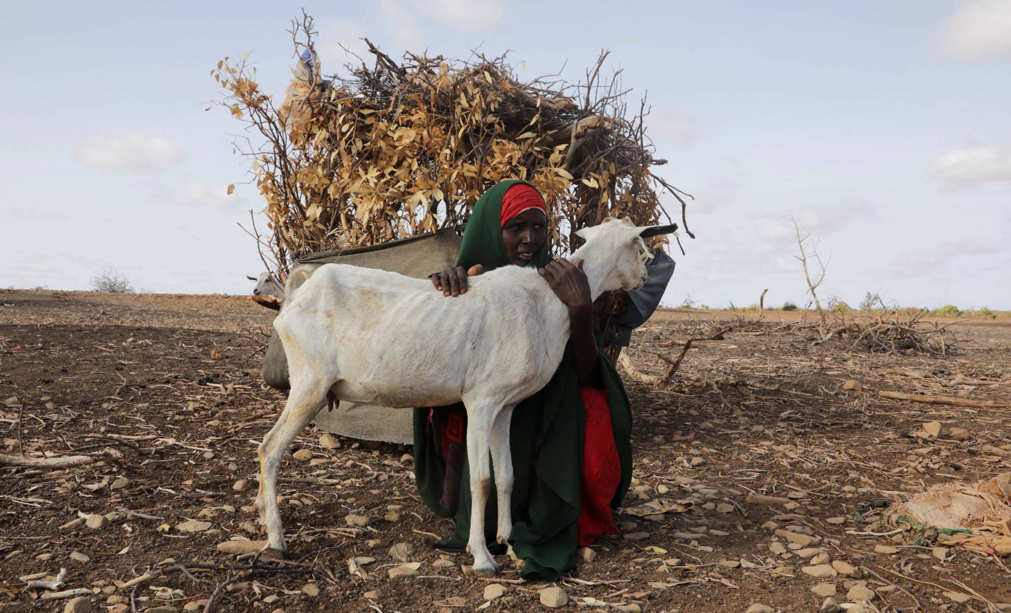 An internally displaced Somali woman holds her surviving goat near Dollow, Somalia, on May 26 following severe droughts. | REUTERS