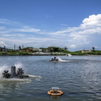 A grouper farm and fish processing factory in Fangliao, Taiwan. Most of the grouper farmed in Taiwan is sold live to China, and shifting to markets farther away would bring added costs.  | LAM YIK FEI / THE NEW YORK TIMES