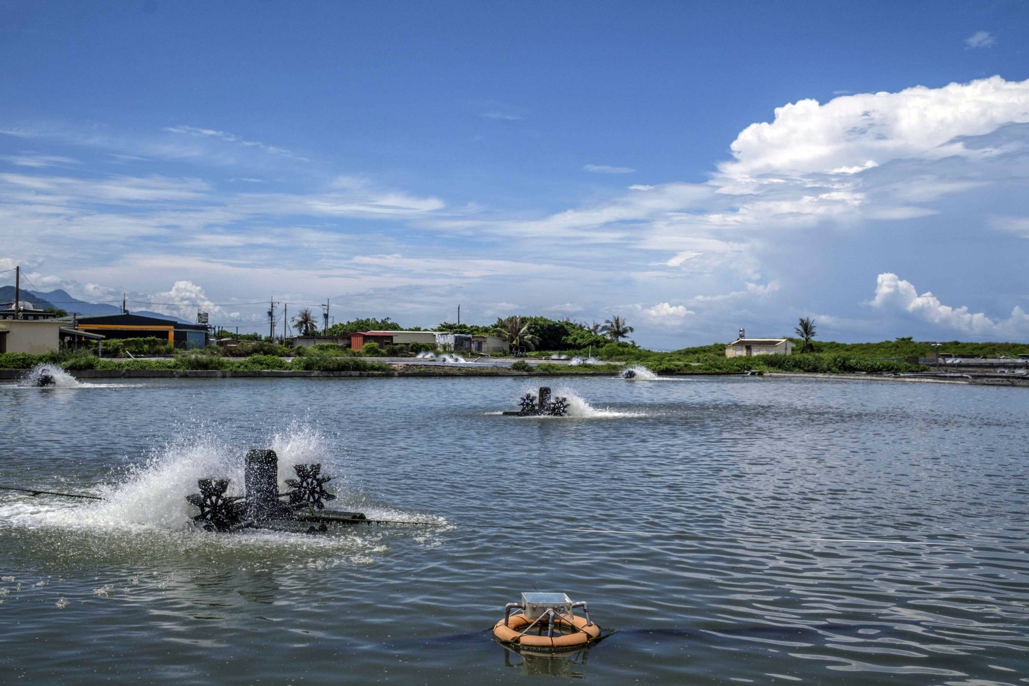 A grouper farm and fish processing factory in Fangliao, Taiwan. Most of the grouper farmed in Taiwan is sold live to China, and shifting to markets farther away would bring added costs. | Lam Yik Fei / The New York Times