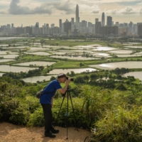 Farmland in the Lok Ma Chau area of Hong Kong, across the border from the technology hub of Shenzhen on the mainland. Initiatives such as the Greater Bay Area will bind the city better to Shenzhen and the former Portuguese colony of Macau. | BLOOMBERG 