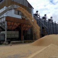 A truck at a grain terminal in Ukraine\'s Odesa region this month. Ukraine\'s grain output could take years to rebuild after fighting wrecked crop handling, storage and shipping infrastructure. | REUTERS