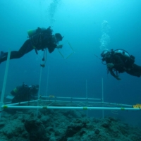 Divers examine the Yarabu site off the western coast of Ishigaki Island in Okinawa. | YUJI YAMAMOTO