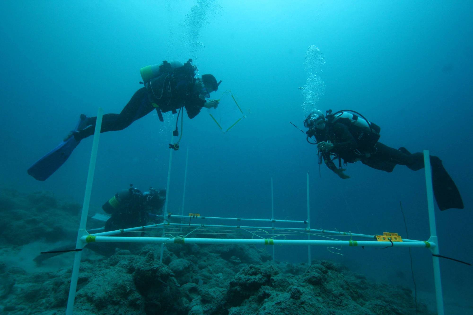 Divers examine the Yarabu site off the western coast of Ishigaki Island in Okinawa. | YUJI YAMAMOTO
