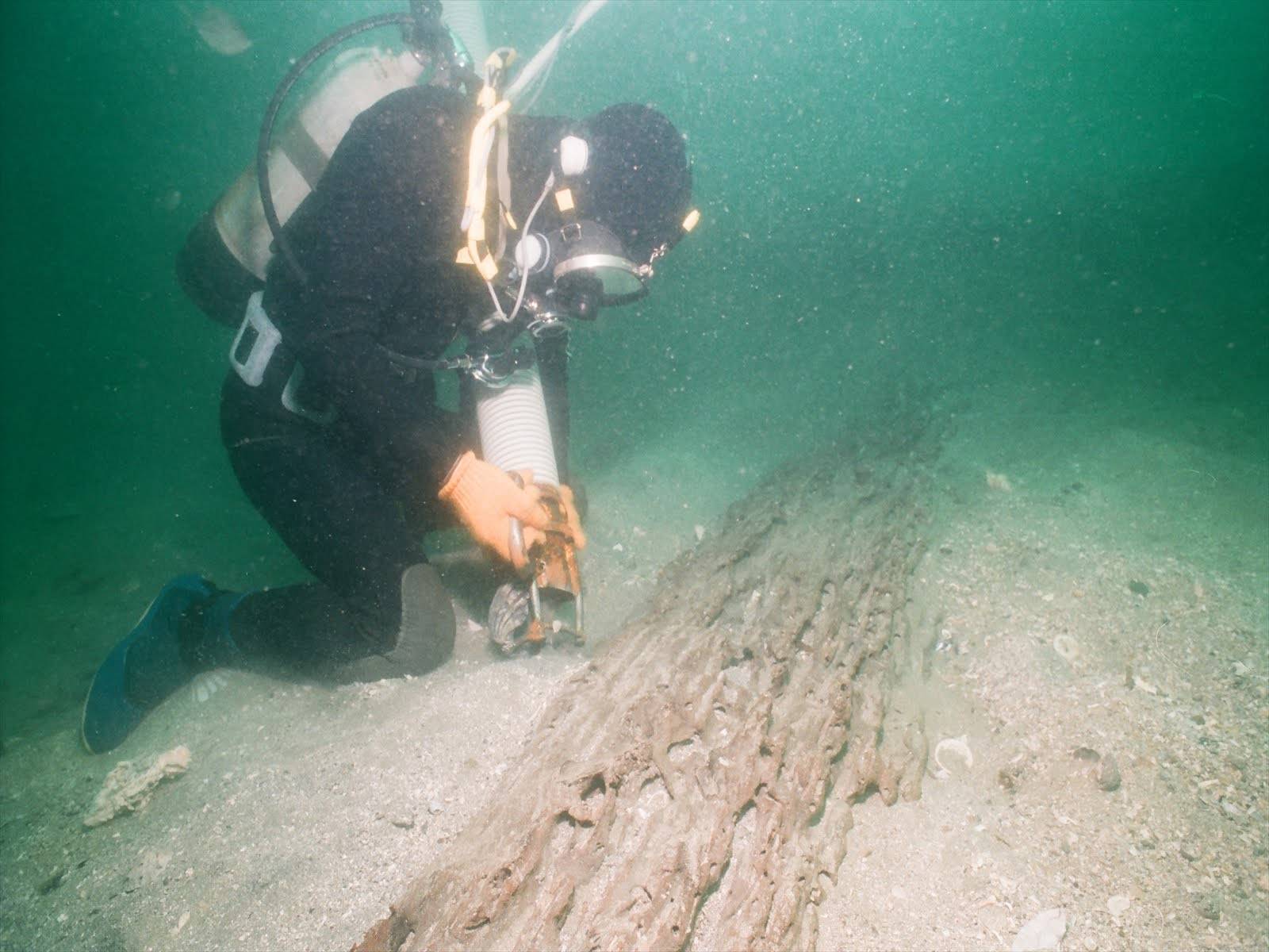 A diver examines hull timber discovered off the coast of Takashima in Nagasaki Prefecture. | Courtesy of Matsuura City's board of education 