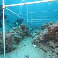 Divers examine the Yarabu site off the western coast of Ishigaki Island in Okinawa. | YUJI YAMAMOTO
