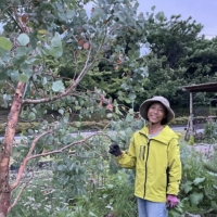 Once an accountant, Hiromi Sasaki says she has finally found her calling among the greenery at Herb Chikura. | KIMBERLY HUGHES
