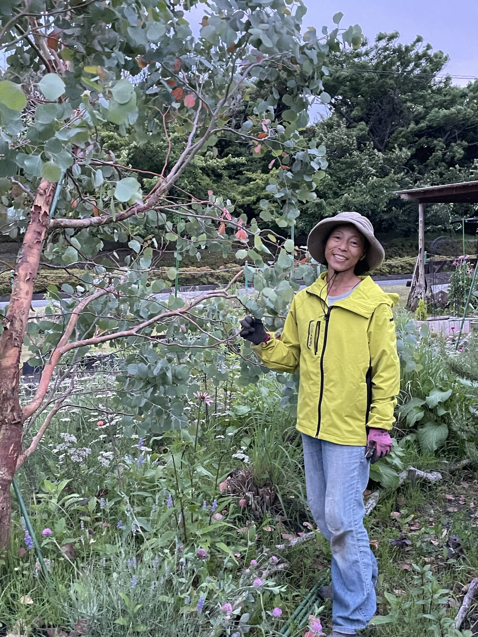 Once an accountant, Hiromi Sasaki says she has finally found her calling among the greenery at Herb Chikura. | Kimberly Hughes 